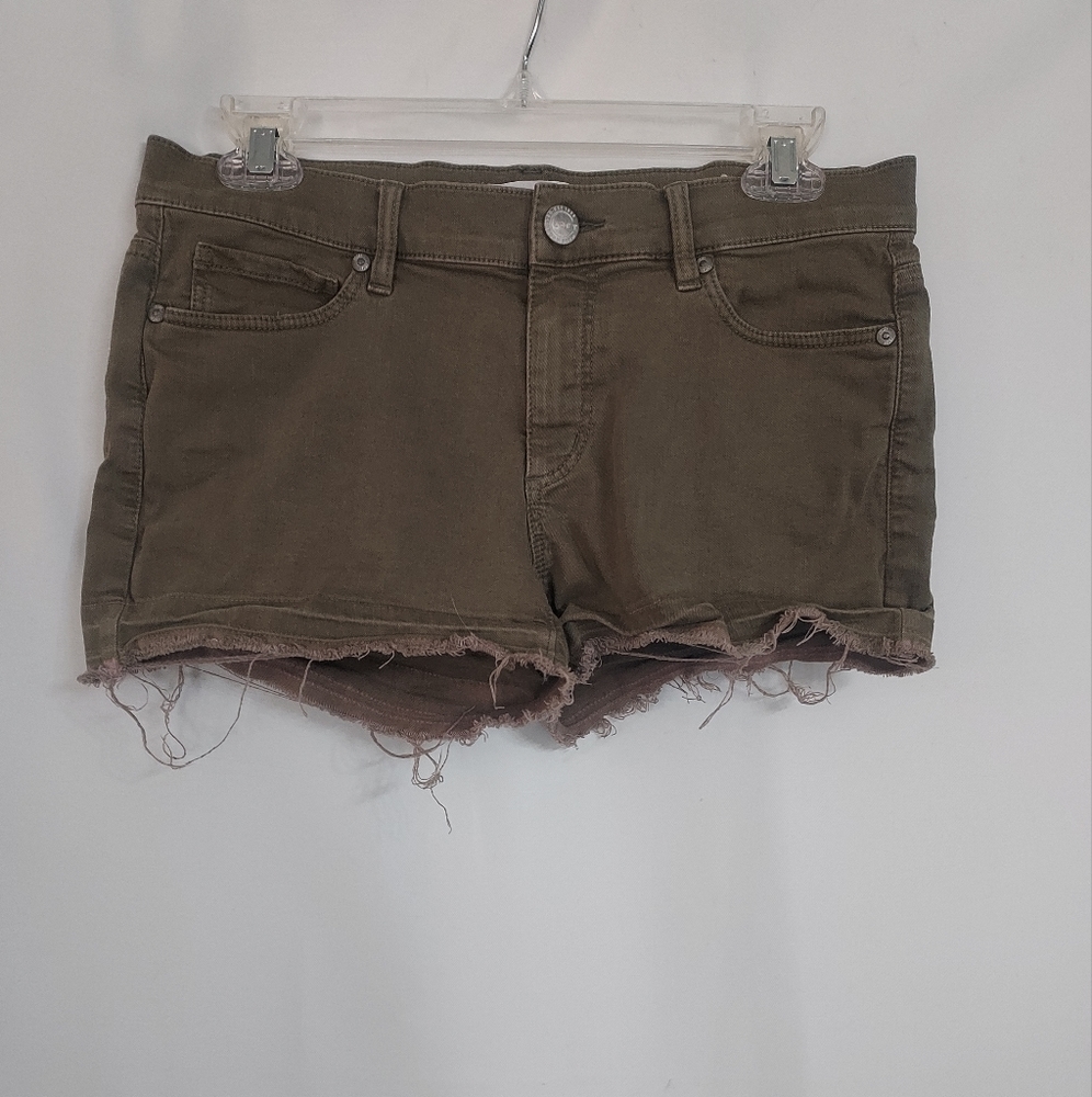 Loft olive green short shorts. Size 2